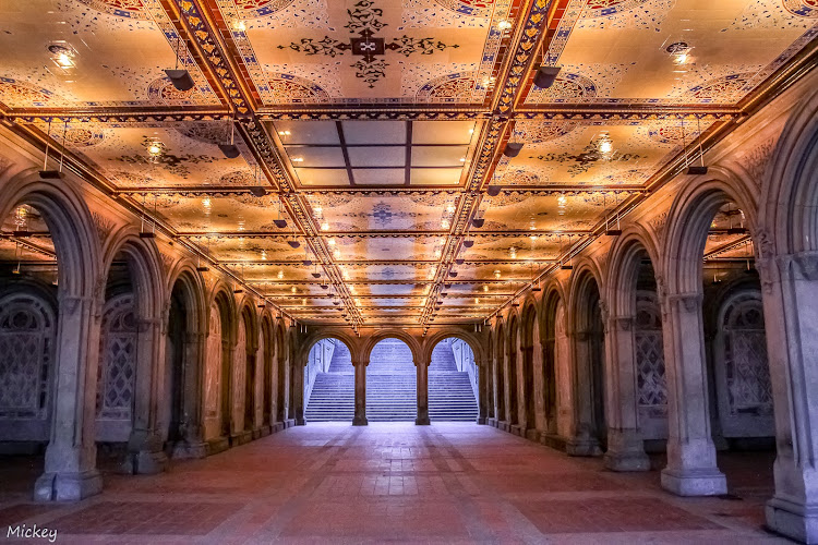 NYC Pedicab Tours Gallery 1 Bethesda Terrace — NYC pedicab tours gallery